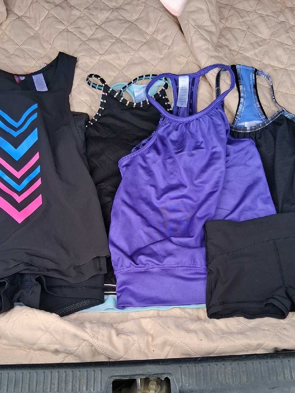 Ivivva Pink & Purple Active Tank and Bra Set